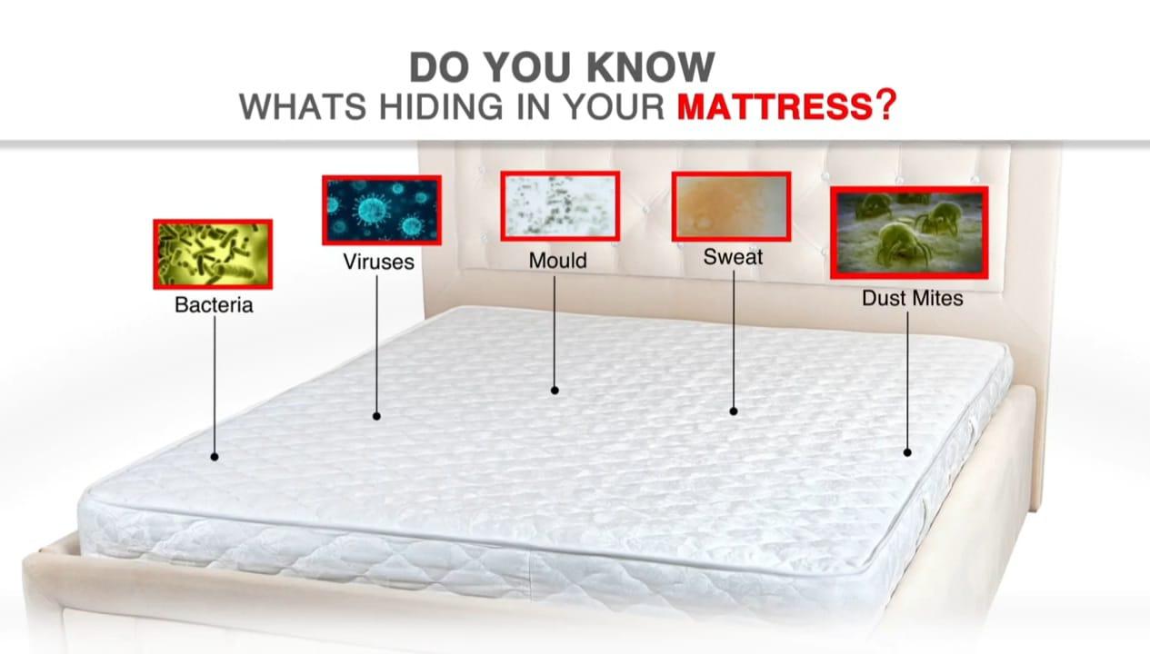 Double Bed Mattress Protector Sheet with 2 Pillow Protector