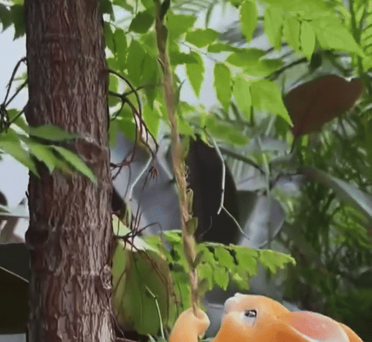 Charming Garden Rabbit For Decoration